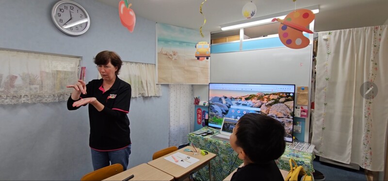 🌻夏のイベントのご案内🌻