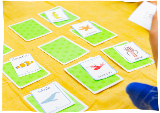 独自教材のカード